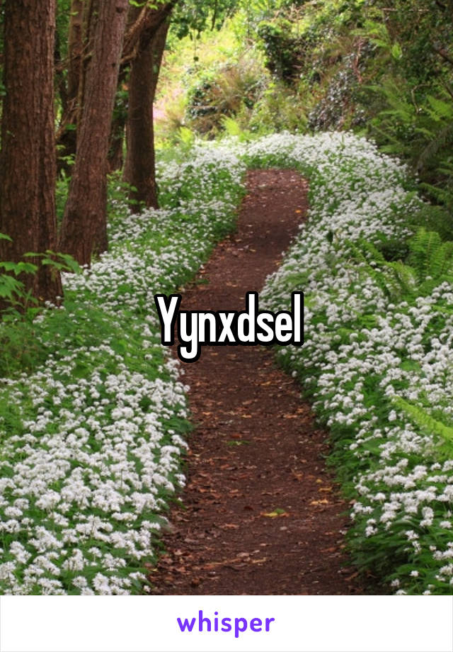 Yynxdsel