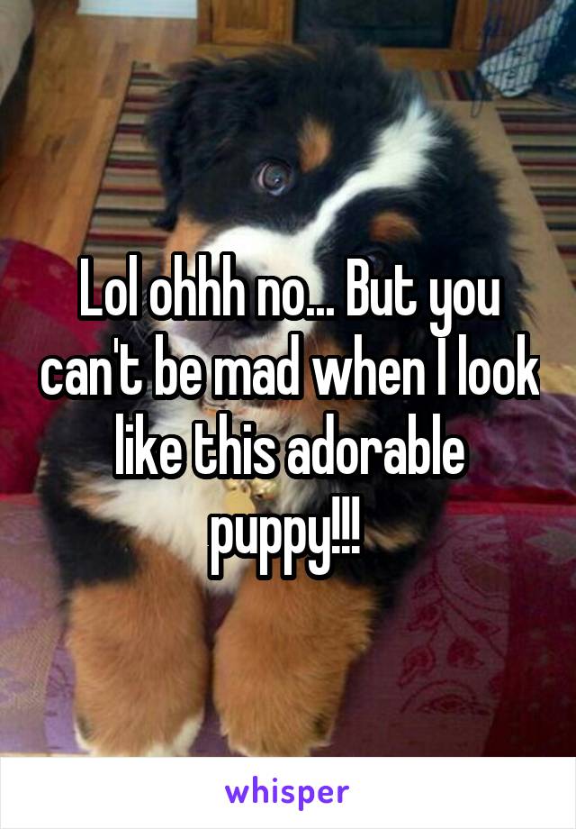 Lol ohhh no... But you can't be mad when I look like this adorable puppy!!! 