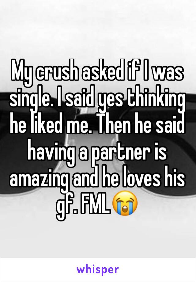My crush asked if I was single. I said yes thinking he liked me. Then he said having a partner is amazing and he loves his gf. FML😭