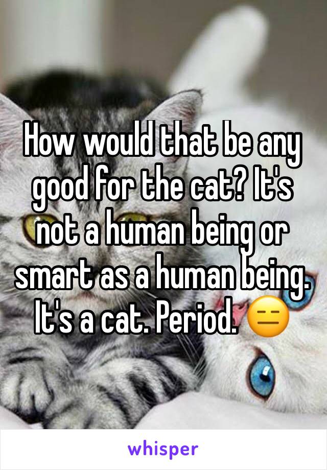 How would that be any good for the cat? It's not a human being or smart as a human being. It's a cat. Period. 😑