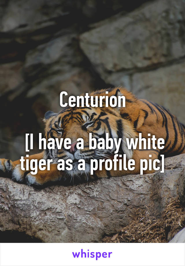 Centurion

 [I have a baby white tiger as a profile pic]
