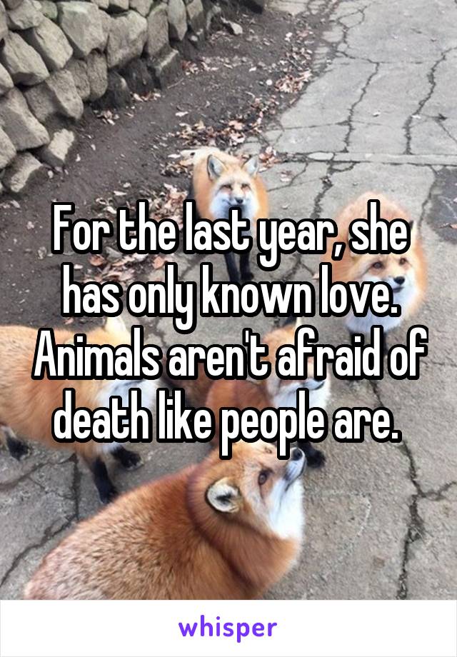 For the last year, she has only known love. Animals aren't afraid of death like people are. 