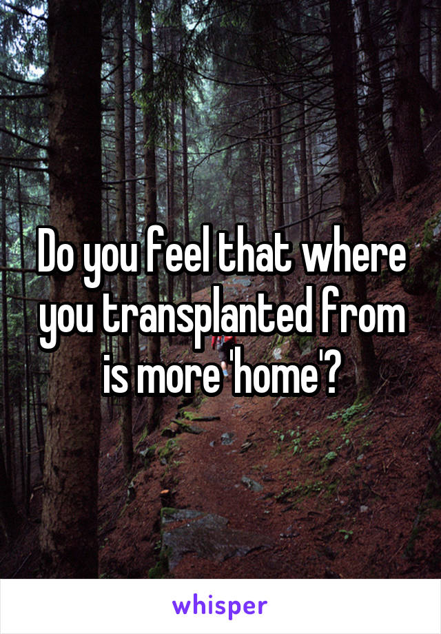 Do you feel that where you transplanted from is more 'home'?