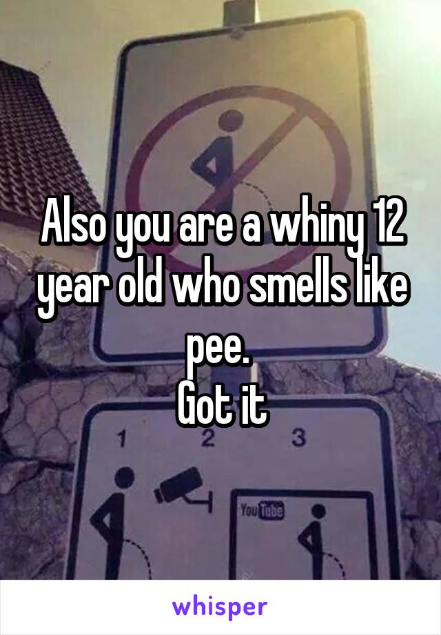 Also you are a whiny 12 year old who smells like pee. 
Got it