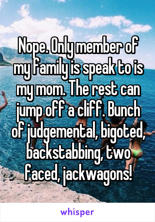 Nope. Only member of my family is speak to is my mom. The rest can jump off a cliff. Bunch of judgemental, bigoted, backstabbing, two faced, jackwagons!