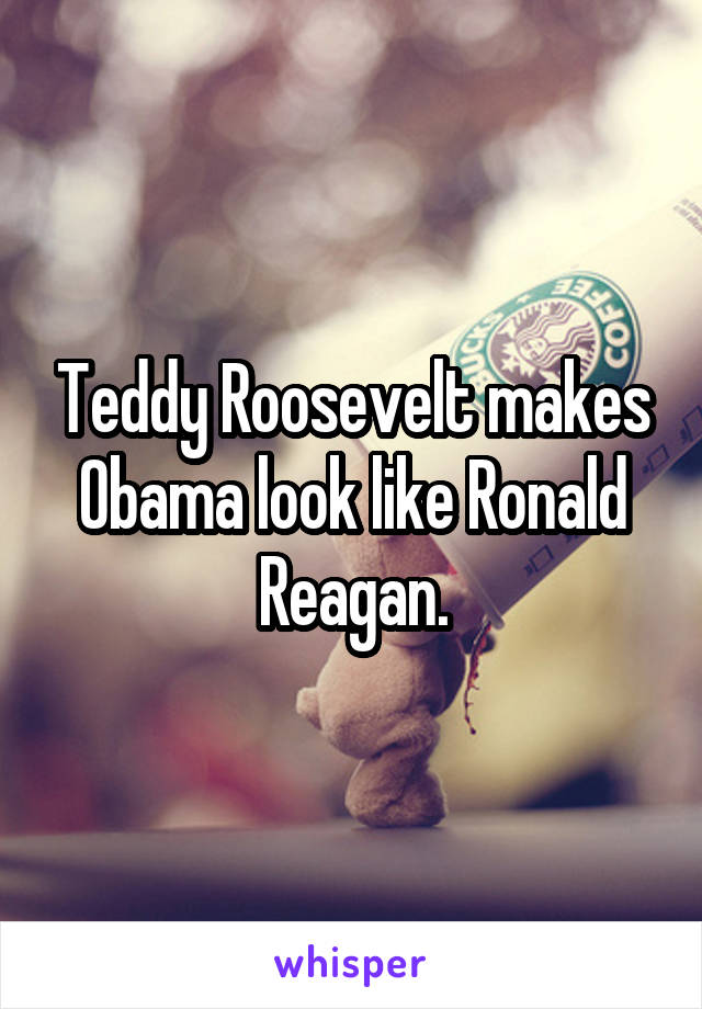 Teddy Roosevelt makes Obama look like Ronald Reagan.