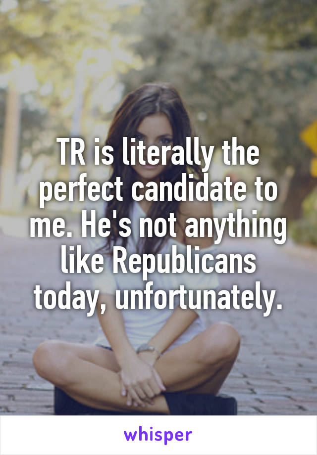 TR is literally the perfect candidate to me. He's not anything like Republicans today, unfortunately.