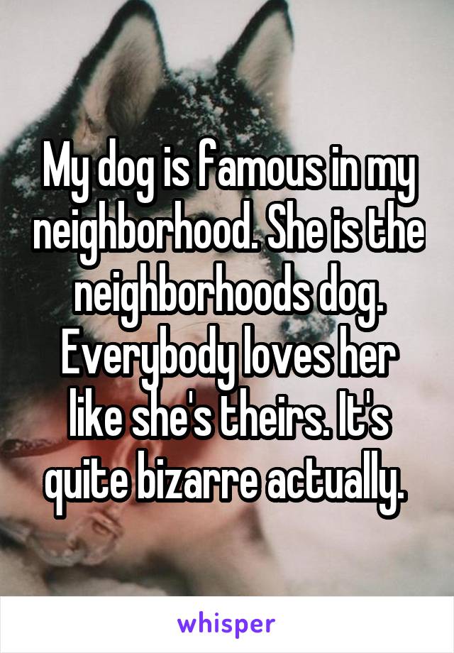 My dog is famous in my neighborhood. She is the neighborhoods dog. Everybody loves her like she's theirs. It's quite bizarre actually. 