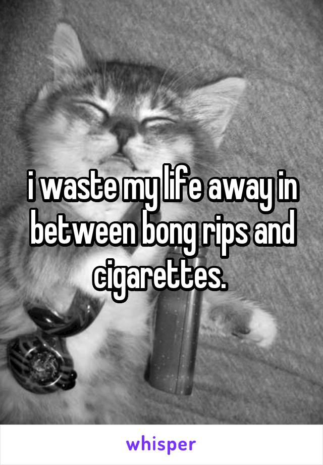 i waste my life away in between bong rips and cigarettes. 