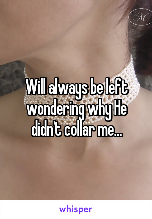 Will always be left wondering why He didn't collar me...