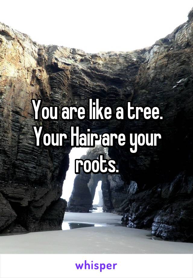 You are like a tree. Your Hair are your roots.