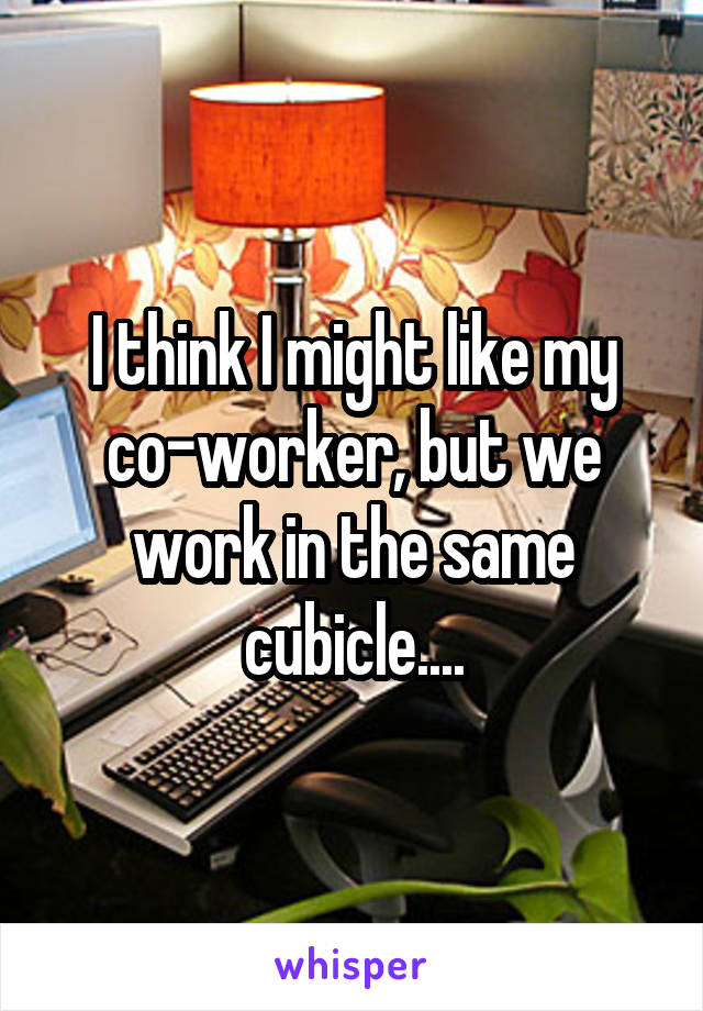 I think I might like my co-worker, but we work in the same cubicle....