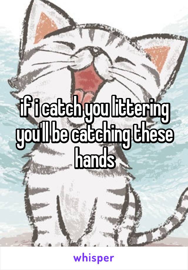 if i catch you littering you'll be catching these hands