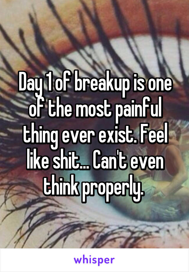 Day 1 of breakup is one of the most painful thing ever exist. Feel like shit... Can't even think properly. 