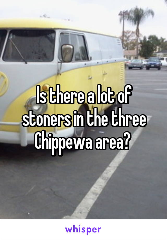 Is there a lot of stoners in the three Chippewa area? 