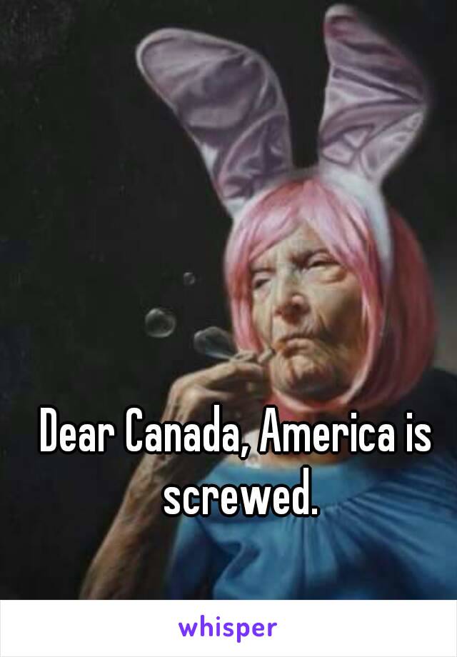 Dear Canada, America is screwed.