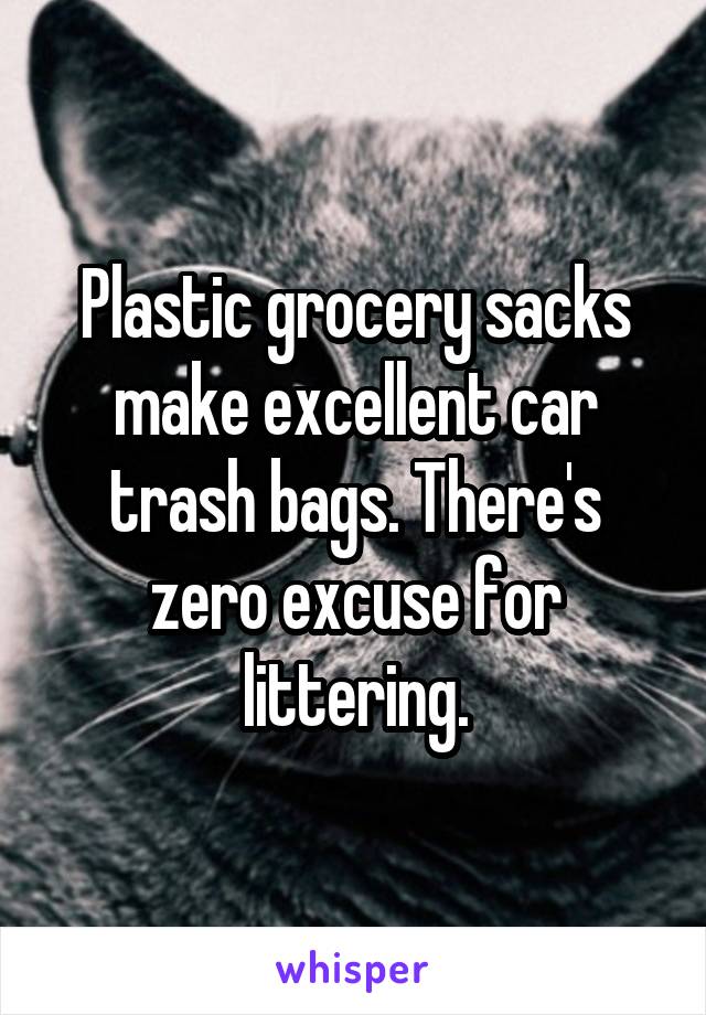 Plastic grocery sacks make excellent car trash bags. There's zero excuse for littering.