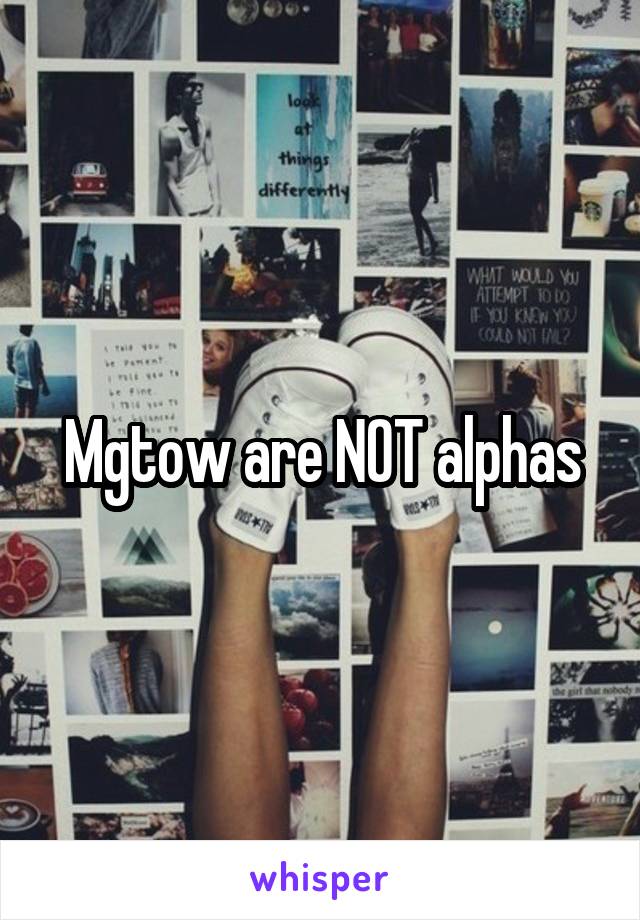 Mgtow are NOT alphas