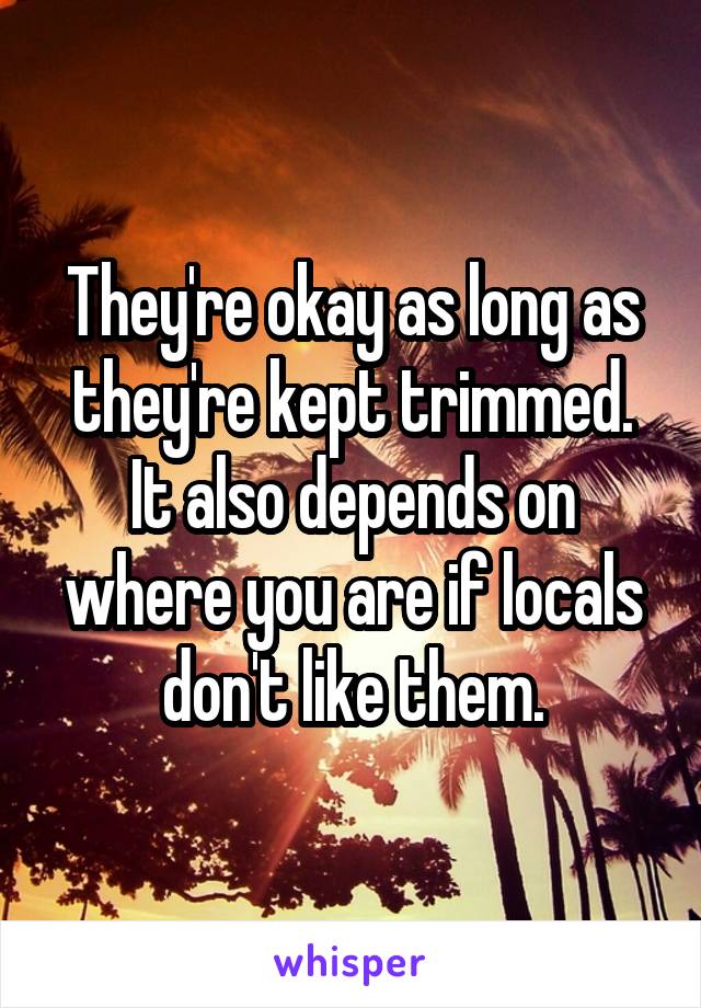 They're okay as long as they're kept trimmed. It also depends on where you are if locals don't like them.