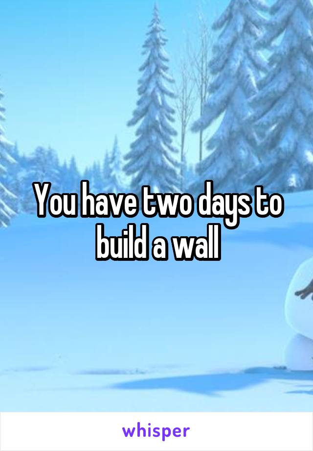 You have two days to build a wall