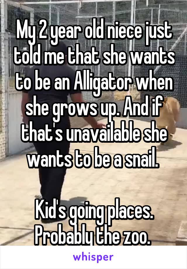 My 2 year old niece just told me that she wants to be an Alligator when she grows up. And if that's unavailable she wants to be a snail. 

Kid's going places. Probably the zoo. 