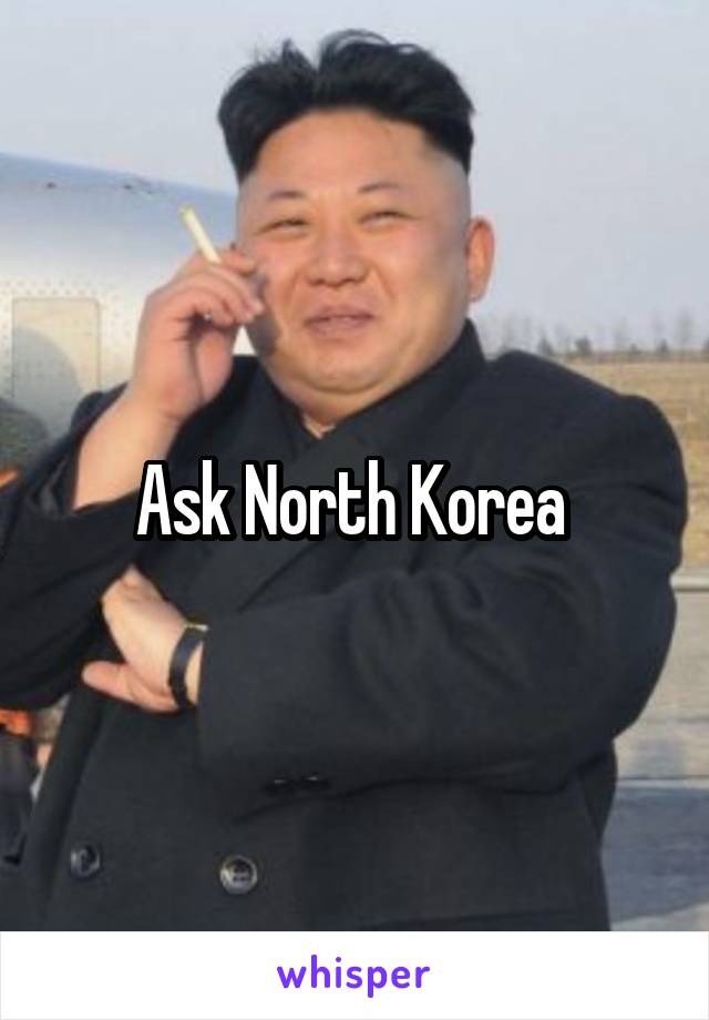 Ask North Korea 