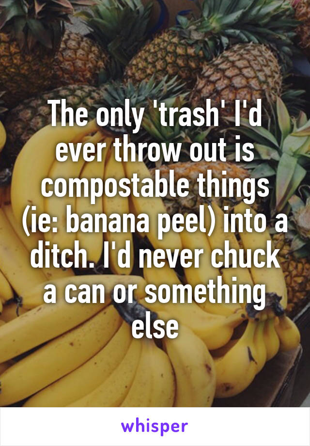 The only 'trash' I'd ever throw out is compostable things (ie: banana peel) into a ditch. I'd never chuck a can or something else
