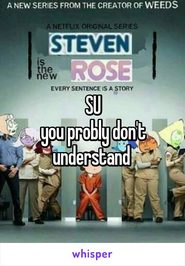 SU
you probly don't understand 