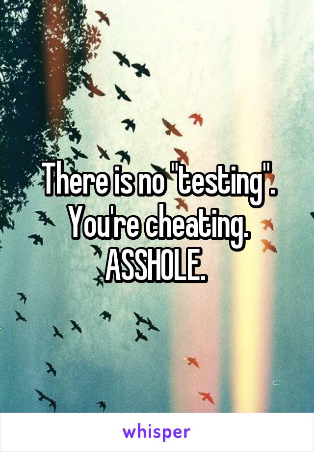 There is no "testing". You're cheating. ASSHOLE. 