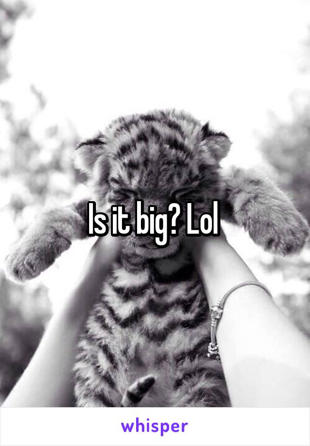 Is it big? Lol 