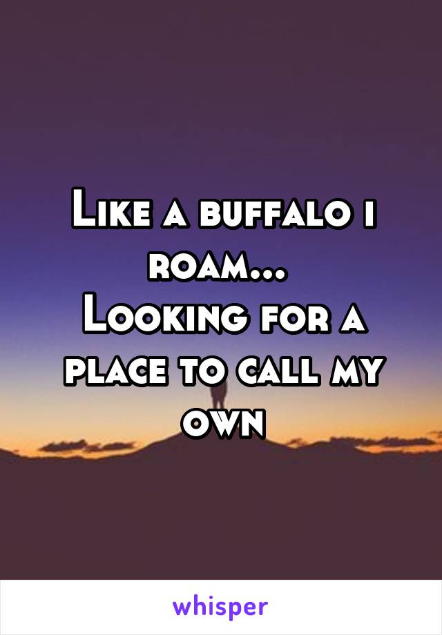 Like a buffalo i roam... 
Looking for a place to call my own