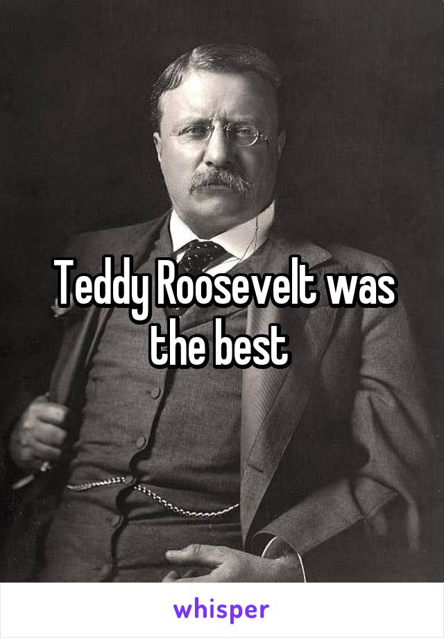 Teddy Roosevelt was the best 