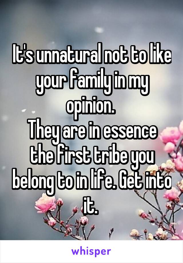 It's unnatural not to like your family in my opinion. 
They are in essence the first tribe you belong to in life. Get into it. 