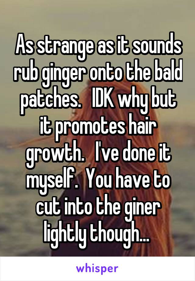 As strange as it sounds rub ginger onto the bald patches.   IDK why but it promotes hair growth.   I've done it myself.  You have to cut into the giner lightly though... 