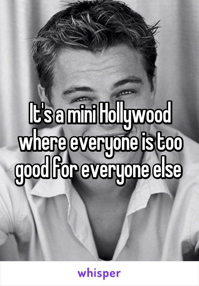 It's a mini Hollywood where everyone is too good for everyone else 