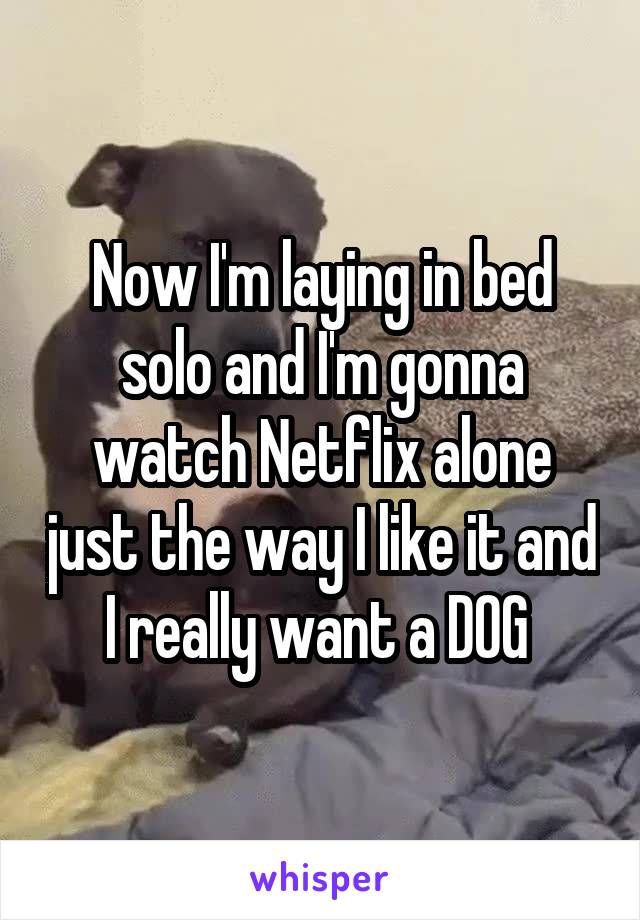 Now I'm laying in bed solo and I'm gonna watch Netflix alone just the way I like it and I really want a DOG 