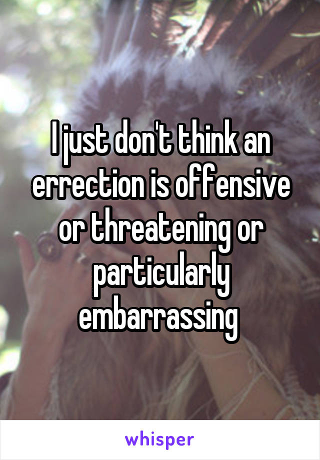 I just don't think an errection is offensive or threatening or particularly embarrassing 