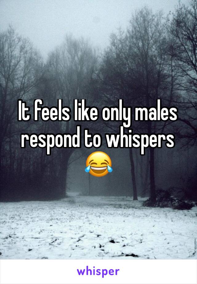 It feels like only males respond to whispers 😂