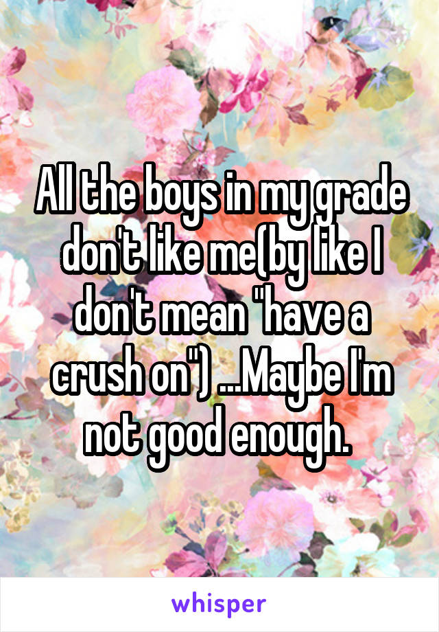 All the boys in my grade don't like me(by like I don't mean "have a crush on") ...Maybe I'm not good enough. 