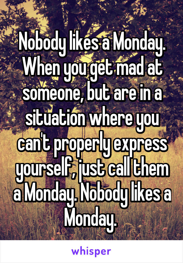 Nobody likes a Monday. When you get mad at someone, but are in a situation where you can't properly express yourself, just call them a Monday. Nobody likes a Monday. 