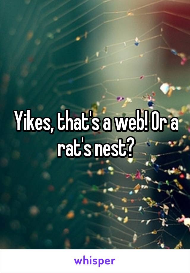 Yikes, that's a web! Or a rat's nest?
