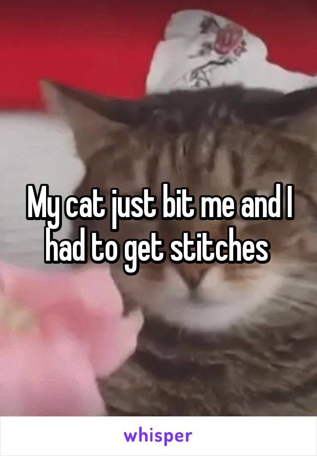 My cat just bit me and I had to get stitches 
