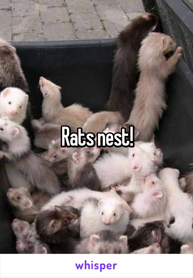 Rats nest!