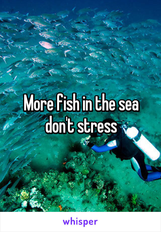 More fish in the sea don't stress