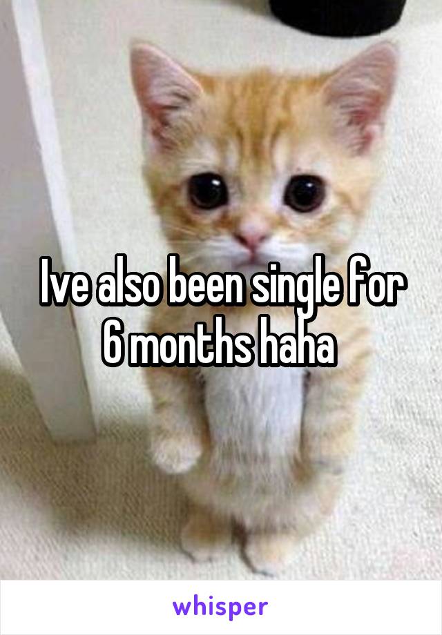 Ive also been single for 6 months haha 