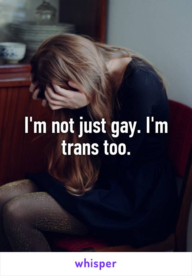 I'm not just gay. I'm trans too.