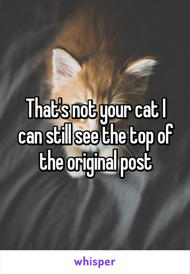 That's not your cat I can still see the top of the original post