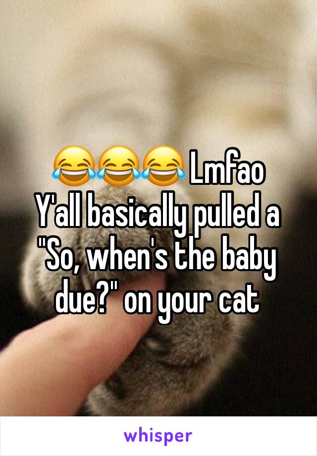 😂😂😂 Lmfao
Y'all basically pulled a 
"So, when's the baby due?" on your cat