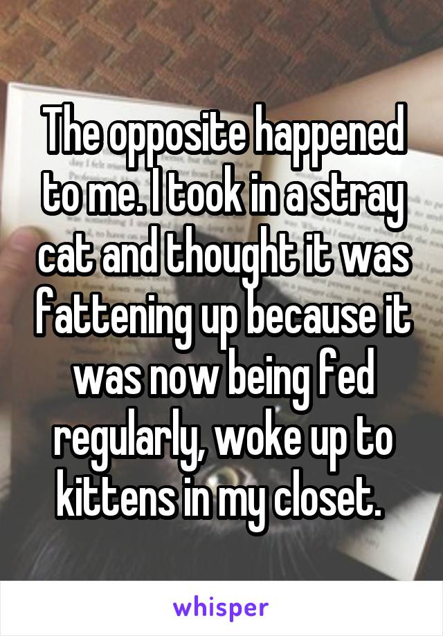 The opposite happened to me. I took in a stray cat and thought it was fattening up because it was now being fed regularly, woke up to kittens in my closet. 