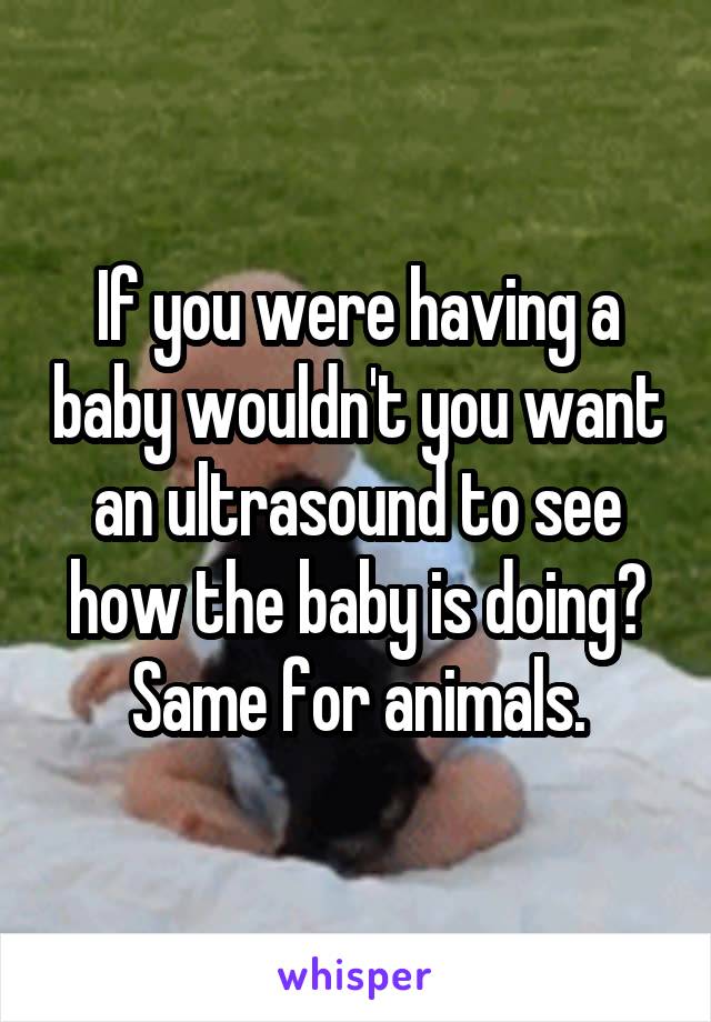 If you were having a baby wouldn't you want an ultrasound to see how the baby is doing? Same for animals.